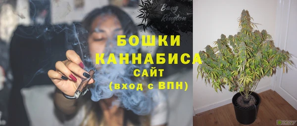 ECSTASY Белокуриха
