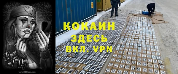 ECSTASY Белокуриха