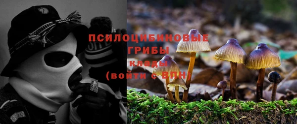 кокаин перу Богородицк